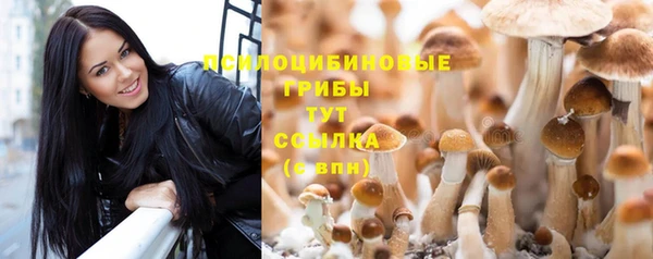мескалин Инсар