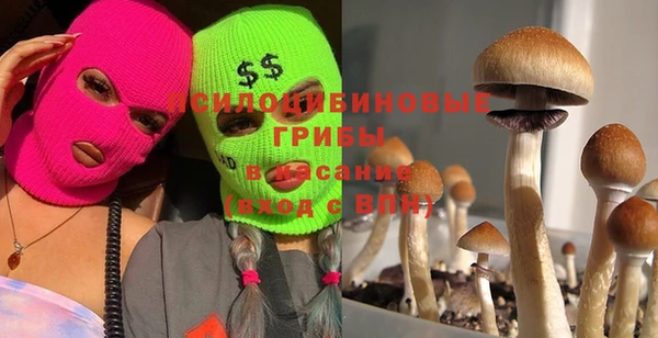 кокаин колумбия Иннополис