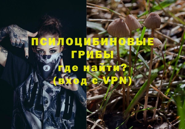 mdpv Инта