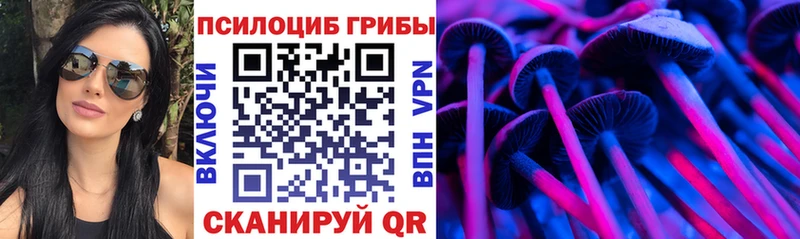 Галлюциногенные грибы Psilocybe  Купить  Богучар 